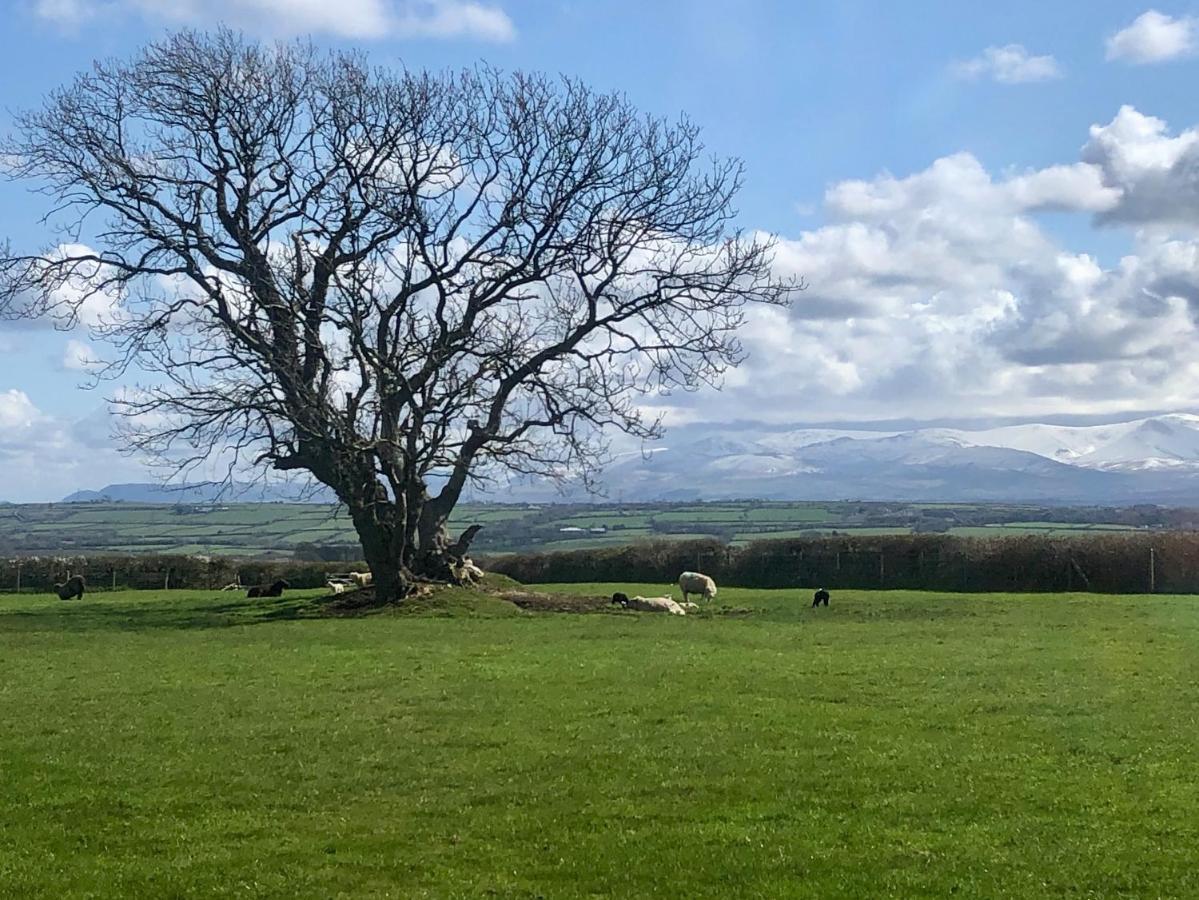 Drosgl Holiday home